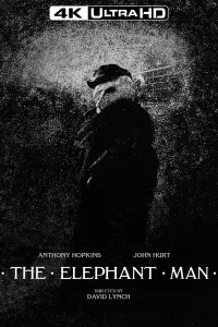 Poster to the movie "The Elephant Man" #124266