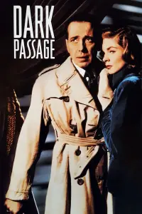 Poster to the movie "Dark Passage" #228634