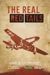 Poster to the movie "The Real Red Tails" #480197