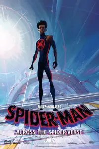 Poster to the movie "Spider-Man: Across the Spider-Verse" #3138