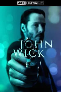 Poster to the movie "John Wick" #51535