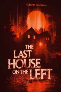 Poster to the movie "The Last House on the Left" #99304