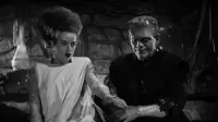 Backdrop to the movie "The Bride of Frankenstein" #671650