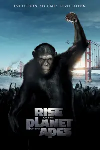 Poster to the movie "Rise of the Planet of the Apes" #21962