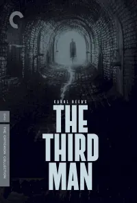 Poster to the movie "The Third Man" #112858