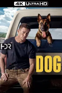 Poster to the movie "Dog" #56724