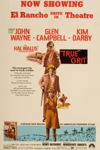 Poster to the movie "True Grit" #100898