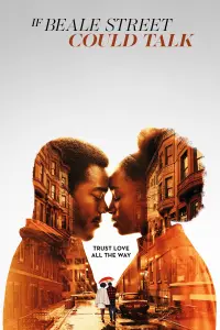 Poster to the movie "If Beale Street Could Talk" #74672