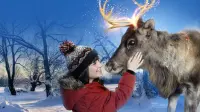 Backdrop to the movie "Prancer: A Christmas Tale" #508936