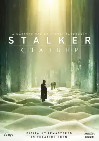 Poster to the movie "Stalker" #44108