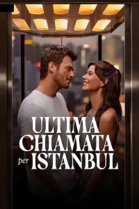 Poster to the movie "Last Call for Istanbul" #478346