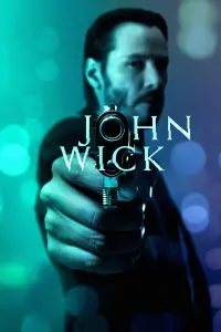 Poster to the movie "John Wick" #51527