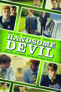 Poster to the movie "Handsome Devil" #242779