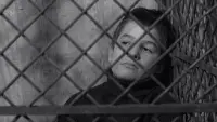 Backdrop to the movie "The 400 Blows" #179024