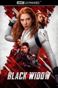 Poster to the movie "Black Widow" #23594