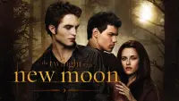 Backdrop to the movie "The Twilight Saga: New Moon" #19163