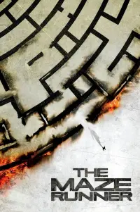 Poster to the movie "The Maze Runner" #7922