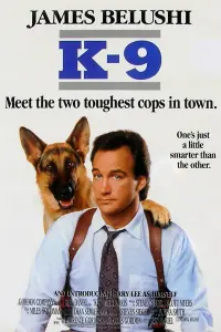 Poster to the movie "K-9" #135559