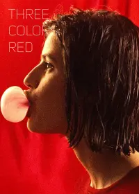 Poster to the movie "Three Colors: Red" #93999