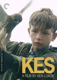 Poster to the movie "Kes" #211585