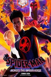 Poster to the movie "Spider-Man: Across the Spider-Verse" #3128