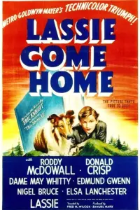 Poster to the movie "Lassie Come Home" #150188