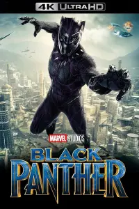 Poster to the movie "Black Panther" #219914