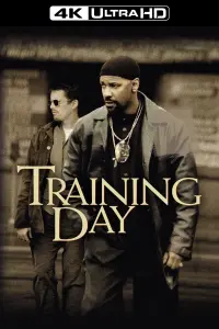 Poster to the movie "Training Day" #211509