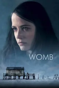 Womb