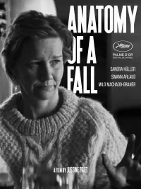 Poster to the movie "Anatomy of a Fall" #164535