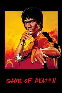 Poster to the movie "Game of Death II" #347442