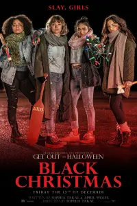 Poster to the movie "Black Christmas" #355396