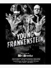 Poster to the movie "Young Frankenstein" #583274