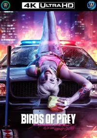 Poster to the movie "Birds of Prey (and the Fantabulous Emancipation of One Harley Quinn)" #34883