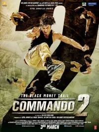 Poster to the movie "Commando 2 - The Black Money Trail" #146279