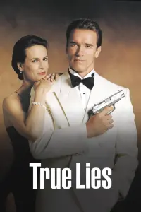 Poster to the movie "True Lies" #242841