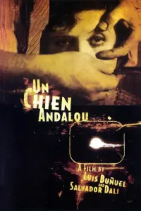 Poster to the movie "Un Chien Andalou" #214105