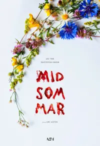 Poster to the movie "Midsommar" #33031