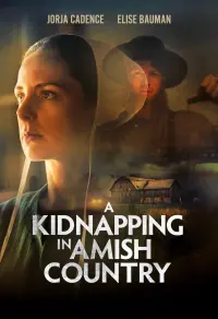 Poster to the movie "A Kidnapping In Amish Country" #613378