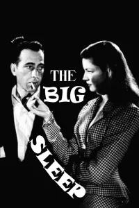 Poster to the movie "The Big Sleep" #661508