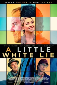 Poster to the movie "A Little White Lie" #149612