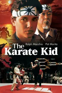 Poster to the movie "The Karate Kid" #60699