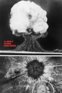 Poster to the movie "A Boy and His Dog" #432595