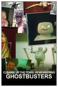 Poster to the movie "Cleanin