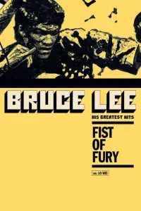 Poster to the movie "Fist of Fury" #228514