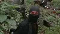 Backdrop to the movie "9 Deaths of the Ninja" #612757