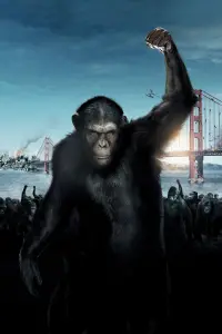 Poster to the movie "Rise of the Planet of the Apes" #226316