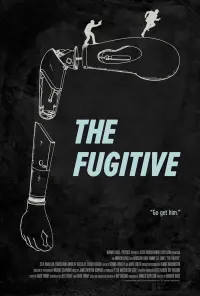 Poster to the movie "The Fugitive" #70076