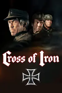 Poster to the movie "Cross of Iron" #131910