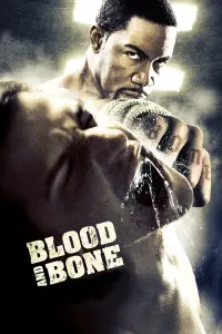 Poster to the movie "Blood and Bone" #81385